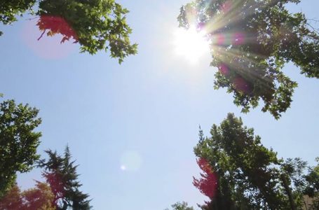 Emiten alerta por altas temperaturas en la precordillera de Antofagasta este fin de semana