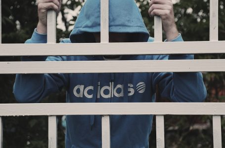 Detienen a dos extranjeros imputados por múltiples robos con violencia en Antofagasta