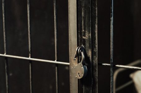 Detuvieron a seis presuntos policías bolivianos en zona fronteriza de Antofagasta