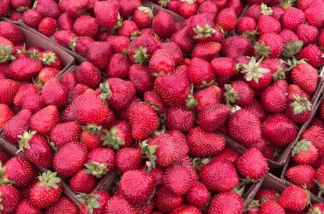 La ciencia detrás del color de las frutas