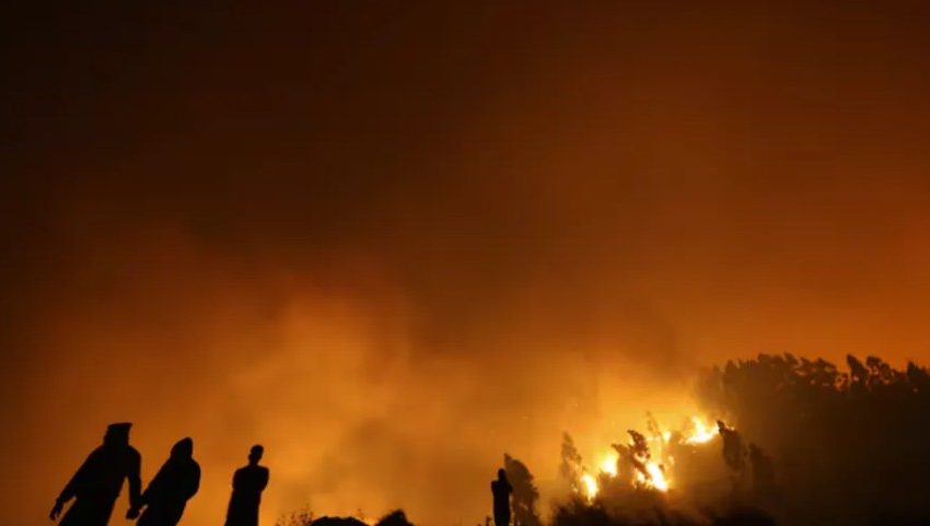  Incendios forestales en el sur de Chile dejan 19 fallecidos y más de 1.500 damnificados