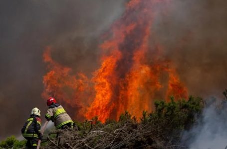 Antofagasta activa campaña solidaria para apoyar a comunidades afectadas por incendios en el sur
