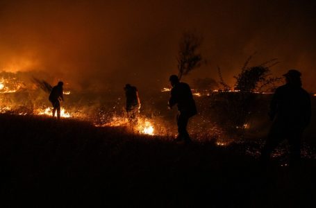 Incendios forestales en Chile: estas son las sanciones penales y multas que arriesgan los responsables