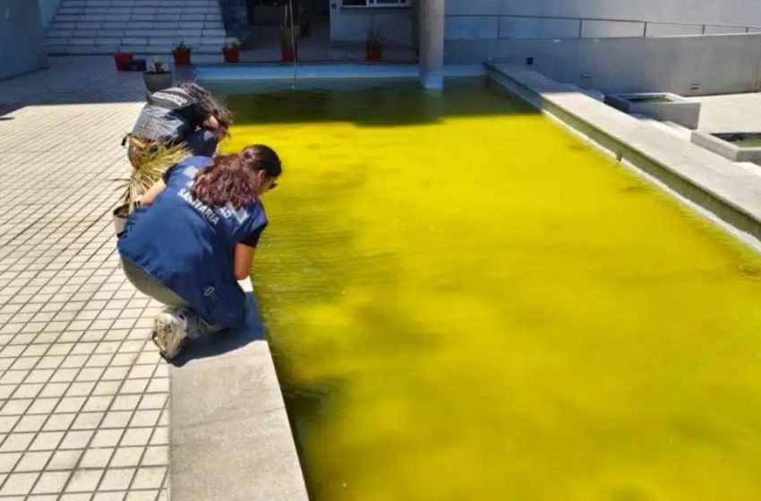  Antofagasta: Salud ordena cierre de cinco piscinas por riesgo sanitario en plena temporada de verano