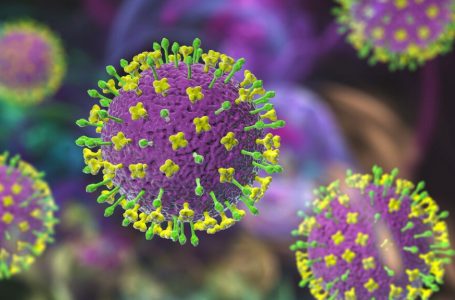 Brote de virus Nipah