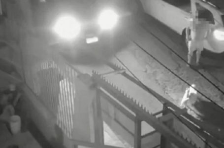 Formalizan a conductor por maltrato animal tras atropello fatal de dos perros en Antofagasta