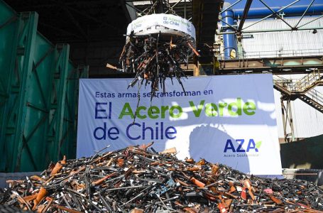 Cifra récord en destrucción de armas: Eliminamos cerca de 90 mil en 4 años