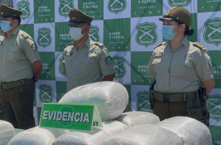 Incautan más de dos toneladas de marihuana y desarticulan dos bandas en la región de Antofagasta
