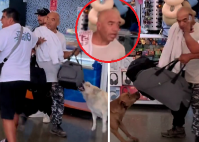  Perros callejeros frustran presunto robo en terminal de Antofagasta y el video se vuelve viral