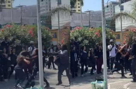 Antofagasta: Riña escolar en Parque Brasil enciende alerta por violencia estudiantil