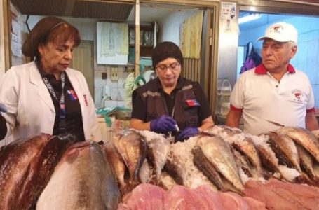 Controles de Semana Santa dejan 12 sumarios y 400 kilos de productos incautados