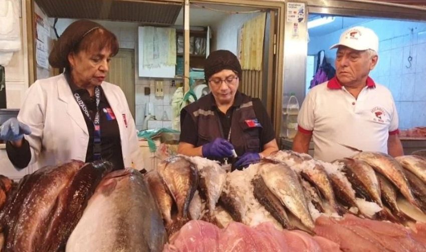  Controles de Semana Santa dejan 12 sumarios y 400 kilos de productos incautados