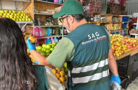 Retiran gran cantidad de alimentos sin trazabilidad en feria del norte de Antofagasta