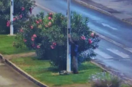 Detienen a sujeto por robo de cables en Antofagasta tras monitoreo de cámaras municipales