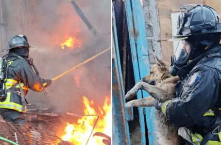 Incendio arrasa vivienda en Antofagasta y deja daños en otras tres construcciones