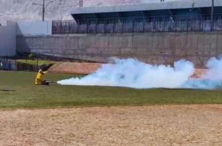 Activan operativo sanitario en Tocopilla tras detección de mosquito transmisor de dengue