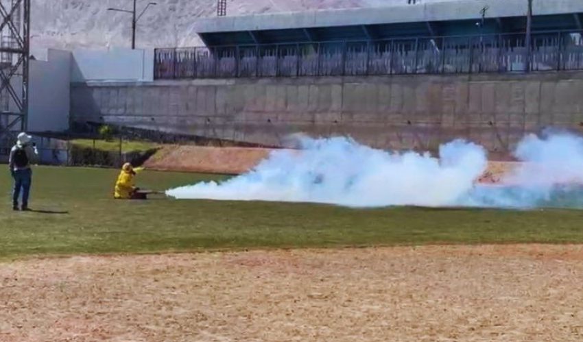  Activan operativo sanitario en Tocopilla tras detección de mosquito transmisor de dengue