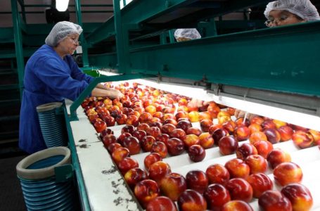 Nueva reducción jornada laboral por Ley 40 Horas: ¿Cómo funciona y desde cuándo?