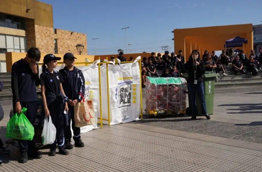  Con aplastatón incluida: Antofagasta busca alcanzar 100 toneladas de reciclaje al mes