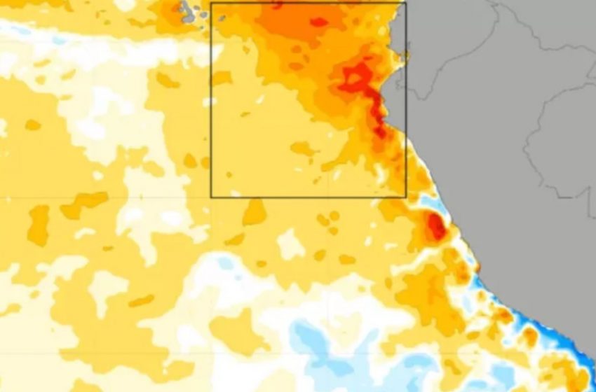 Fenómeno de El Niño podría ser histórico: estiman su llegada a Chile