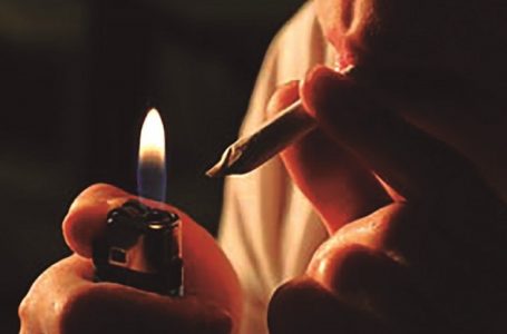 Región de Antofagasta rompe récord de decomisos de droga: ya superan las 32 toneladas en 2026