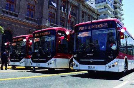 Alerta en el transporte de Antofagasta: Flota eléctrica RED al borde de la paralización por quiebra financiera