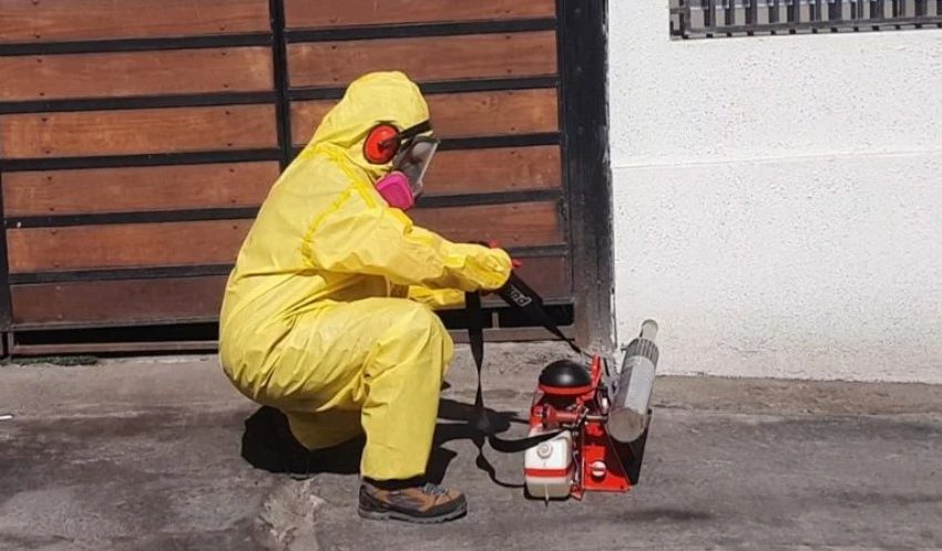  Detectan diez focos del mosquito Aedes aegypti en sector norte de Antofagasta