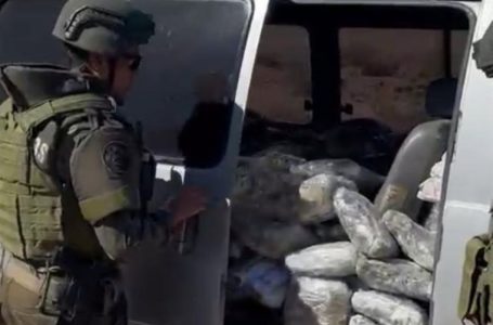 Carabineros decomisa más de 2,3 toneladas de marihuana en Antofagasta