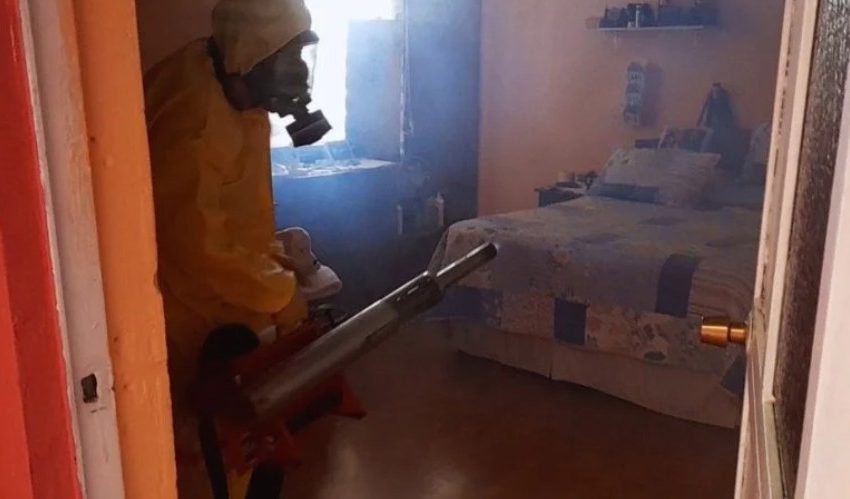  Detectan 12 focos del mosquito Aedes aegypti en el sector norte de Antofagasta