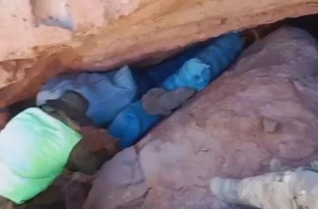 Más de 460 kilos de cannabis fueron retirados de circulación en la Región de Antofagasta