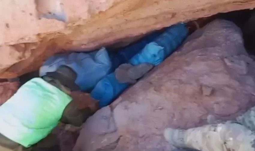  Más de 460 kilos de cannabis fueron retirados de circulación en la Región de Antofagasta