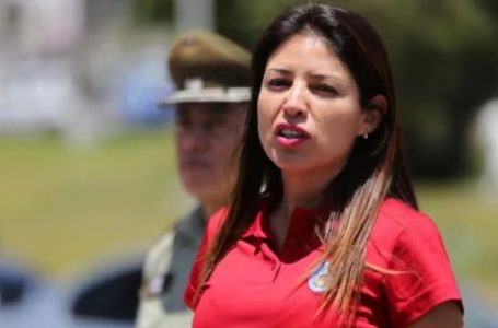 Karen Rojo vuelve a Chile tras ser extraditada desde Países Bajos: deberá cumplir condena por fraude al fisco
