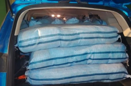 Carabineros incauta 233 kilos de drogas tras persecución y hallazgo de vehículo abandonado en Tocopilla