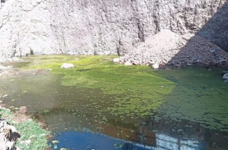 Confirman nuevo foco de Aedes aegypti en Antofagasta: activan fumigaciones e inspecciones domiciliarias
