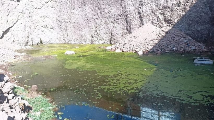  Confirman nuevo foco de Aedes aegypti en Antofagasta: activan fumigaciones e inspecciones domiciliarias
