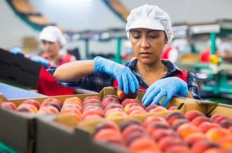 Nuevo subsidio para trabajadores y empresas comienza en octubre: revisa quiénes califican