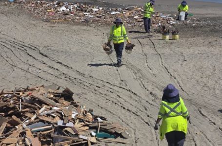 Lluvias dejan al descubierto restos de animales y escombros en la costa de Antofagasta