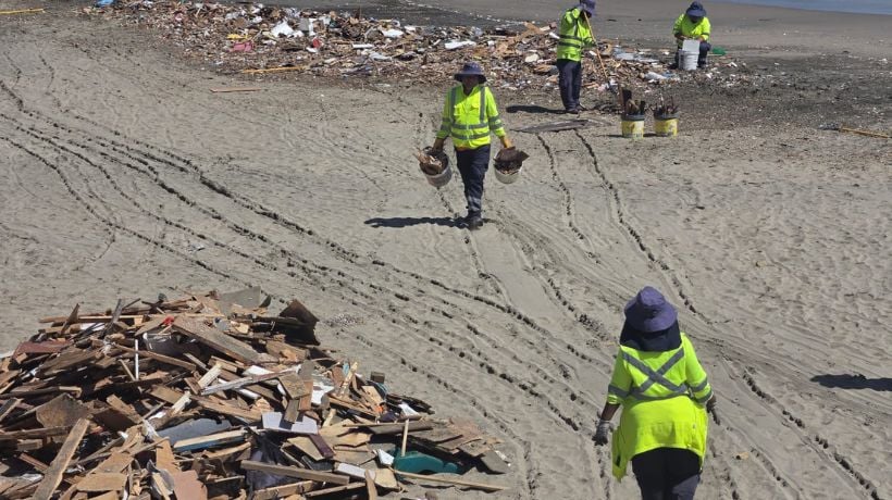  Lluvias dejan al descubierto restos de animales y escombros en la costa de Antofagasta