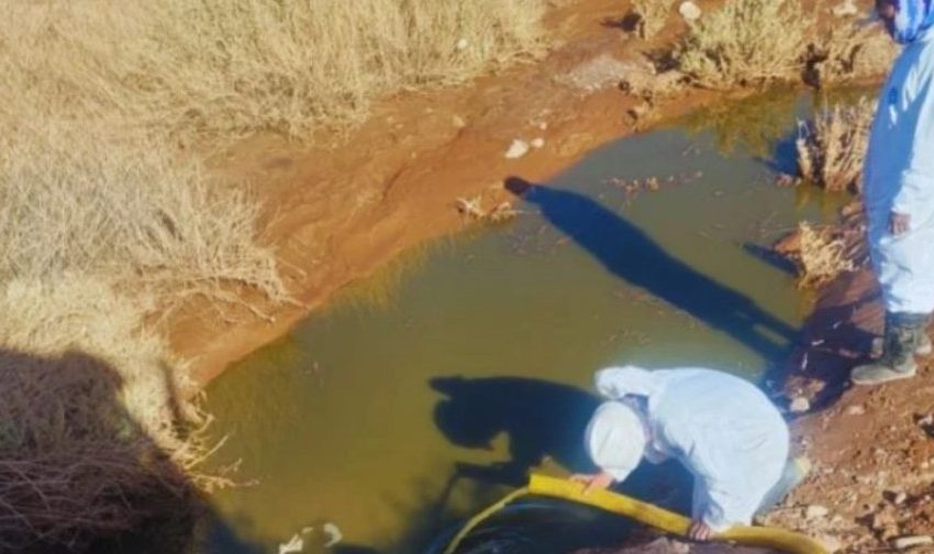  Revisan medidas tras escurrimientos de aguas servidas que afectaron a más de 100 familias en San Pedro