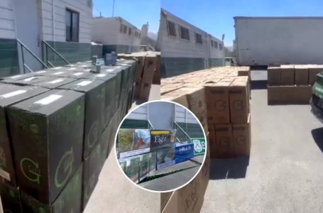 Carabineros incauta más de 303 mil cajetillas de contrabando en control realizado en Antofagasta