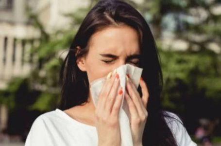 Primavera y alergias: Salud advierte aumento de síntomas respiratorios en Antofagasta