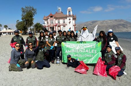 Retiran más de 405 kilos de residuos del borde costero de Mejillones
