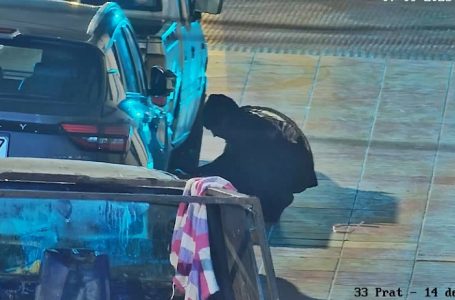 Cámaras detectan robo de combustible en pleno centro de Antofagasta y Carabineros detiene a dos sujetos