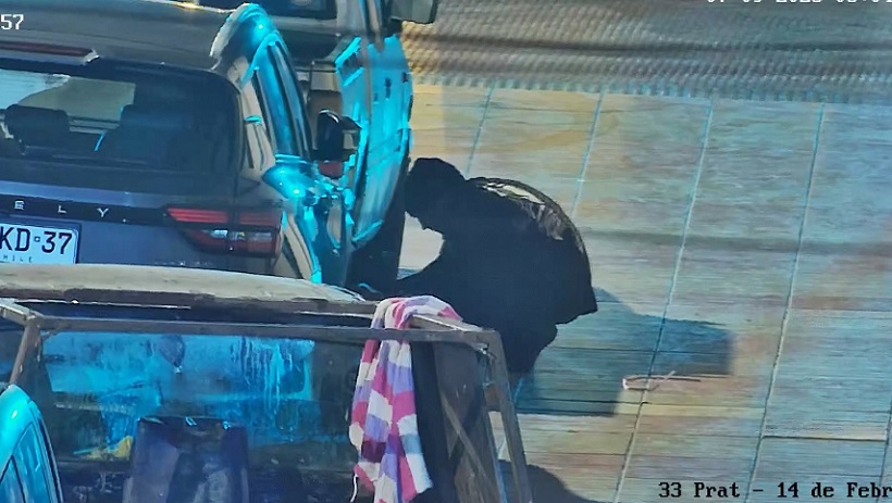  Cámaras detectan robo de combustible en pleno centro de Antofagasta y Carabineros detiene a dos sujetos