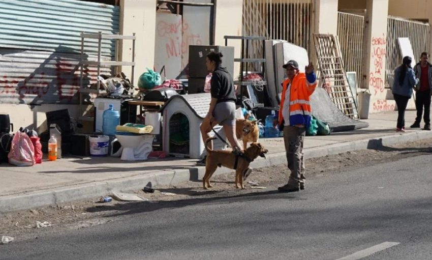  Municipio catastra 70 mascotas en toma Villa El Salar antes de trabajos de demolición