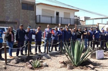 Municipio transforma antiguo microbasural en nueva plaza comunitaria frente al Hospital Regional de Antofagasta