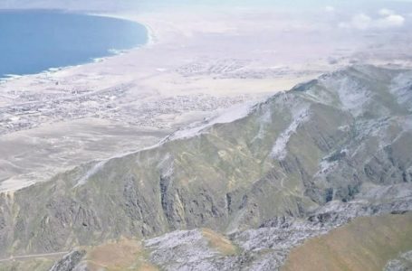 Inusual floración cubre de blanco los cerros cordilleranos de Antofagasta