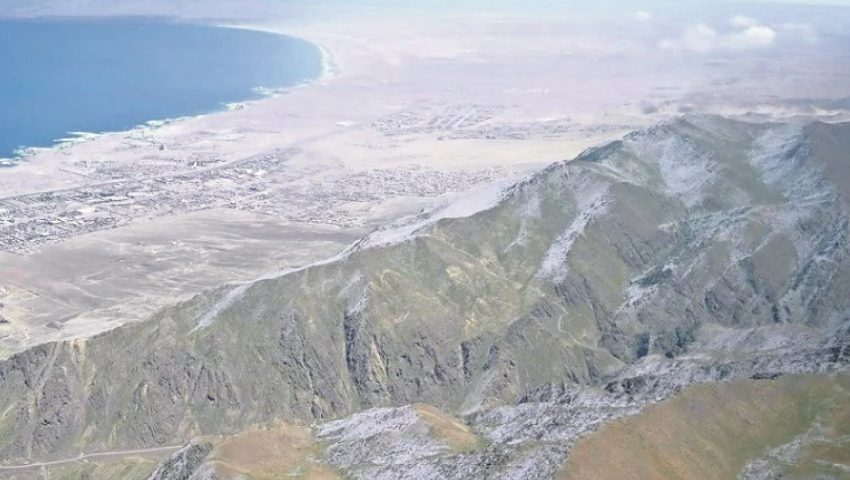  Inusual floración cubre de blanco los cerros cordilleranos de Antofagasta