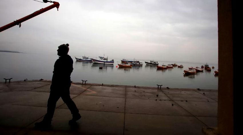  El Niño eleva riesgo de marea roja y Gobierno activa emergencia preventiva en 15 regiones